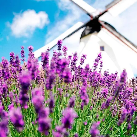 4 Person Holiday In Ferienhaus Svaneke